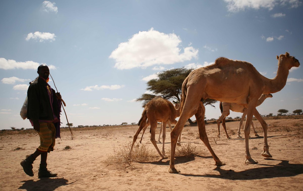 UNDPNorway's tweet photo. Climate resilience is key to avoiding future food crises. Learn why here: https://t.co/M2BwtFMBZk #ResilienceSunday https://t.co/oDE3efioCd