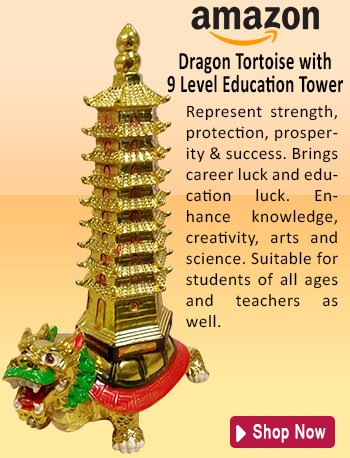 rajeev5111's tweet photo. Boost your #Strength &amp; #Education with #DragonTortoiseEducationTower on @amazonIN 
https://t.co/H6qNKp6eCx
#KulbhushanJadhav #ReemaLagoo https://t.co/S59T3ghkgY