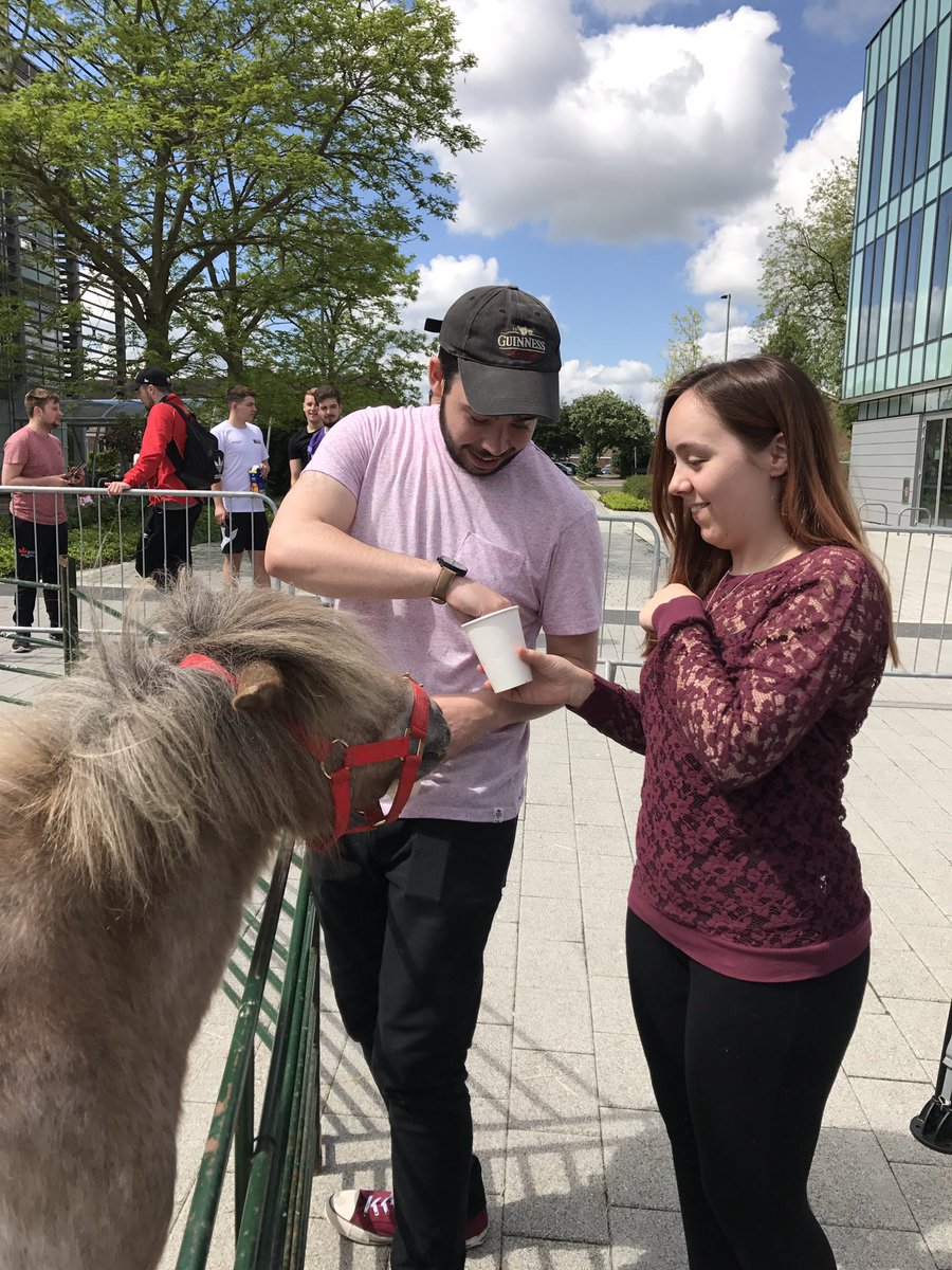 BedsSU's tweet photo. If you are not on Bedford Campus today. Here what you are missing #FeelGoodBeds #RegisterToVote #VotesForGoats https://t.co/qxdUtwwsgf