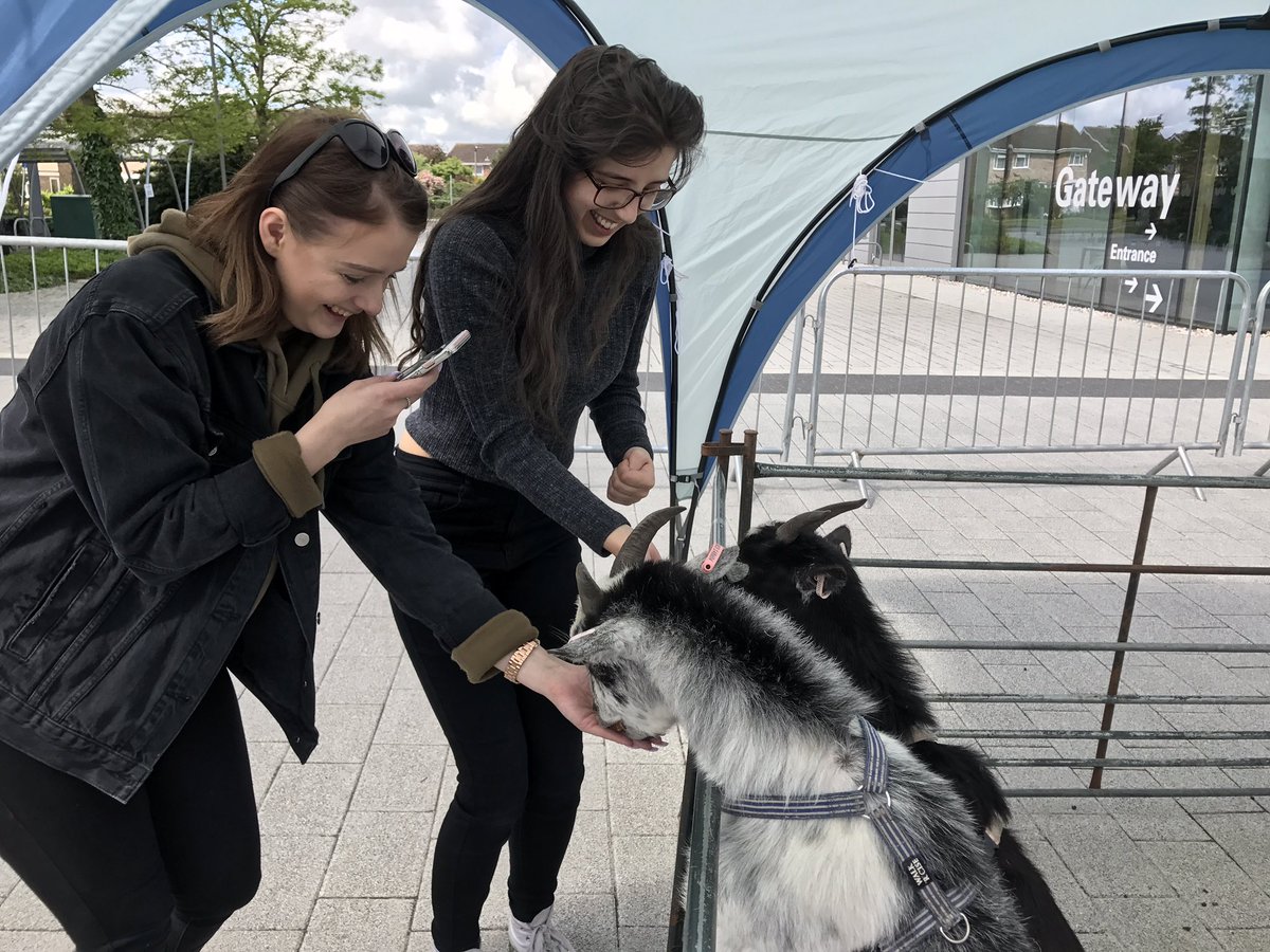 BedsSU's tweet photo. If you are not on Bedford Campus today. Here what you are missing #FeelGoodBeds #RegisterToVote #VotesForGoats https://t.co/qxdUtwwsgf