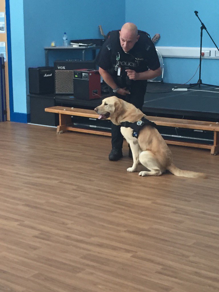 Birkdale Primary tweet media