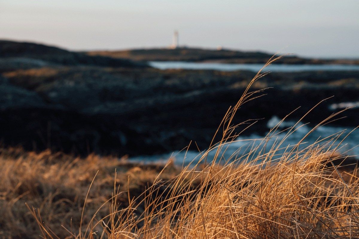 DISCOVERING THE ISLE OF #ISLAY | LENSES &amp; LOCALS buff.ly/2rhhZFc #ttot #travel #travelblog #Whisky #scotch