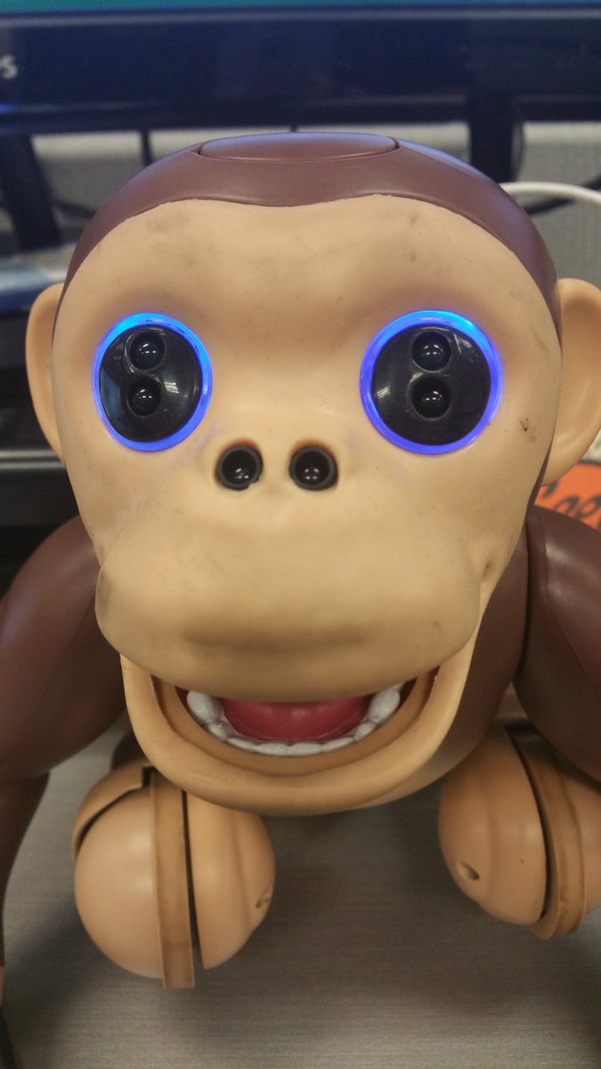 AgentParr's tweet image. There are no words. #BestBuy #GeekSquad #Zoomer