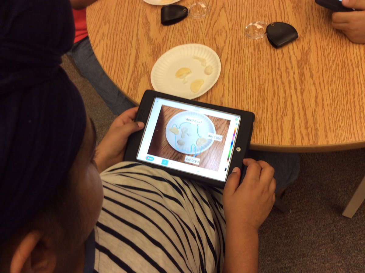 ridgeview2_3's tweet photo. Dissected lima beans and used Seesaw to label the parts and record thinking #rpsassess @Seesaw Thanks @RidgeviewTLC for the great learning! https://t.co/MwRaFU6g5B