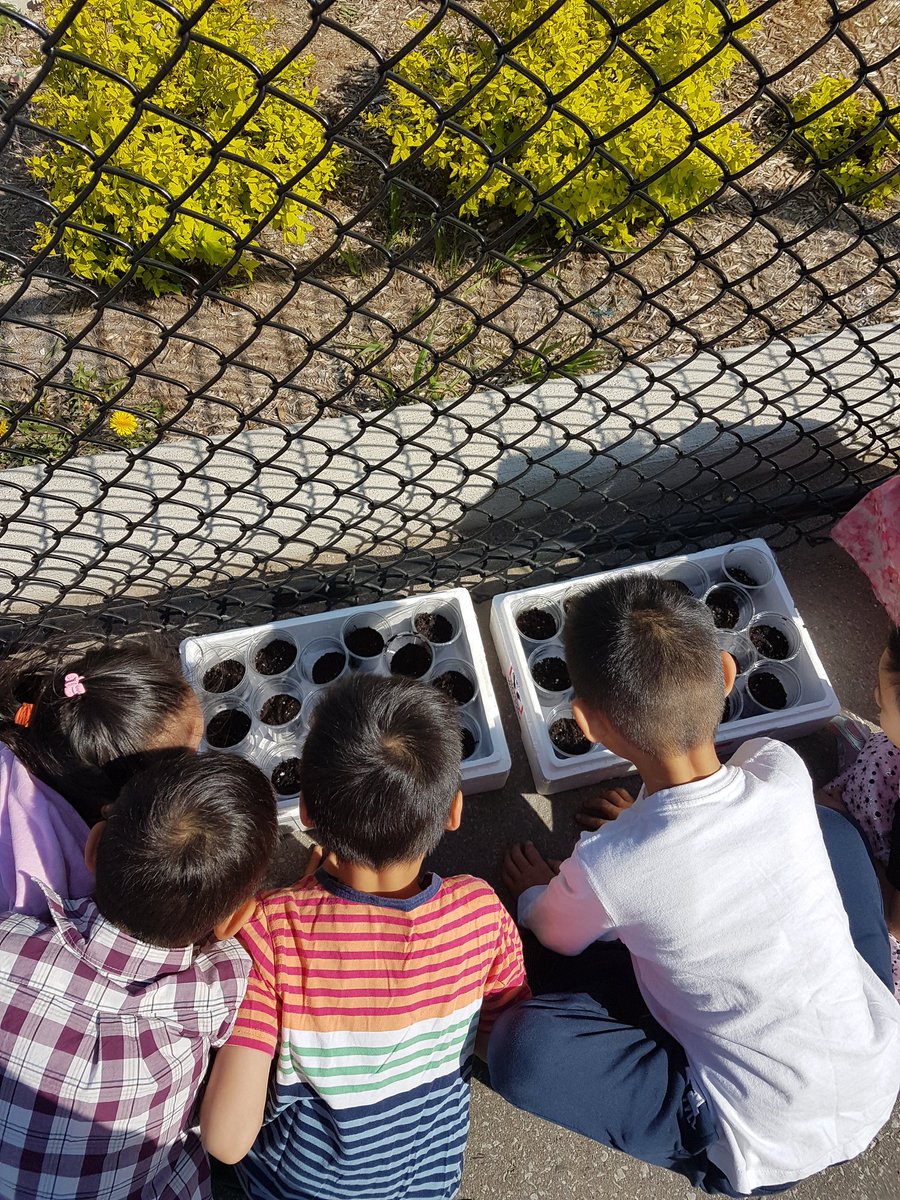 Kinderminds's tweet photo. It's planting season in Kindieland🌱 @BeckettFarmPS #FDK https://t.co/6Wg5JM9HlR