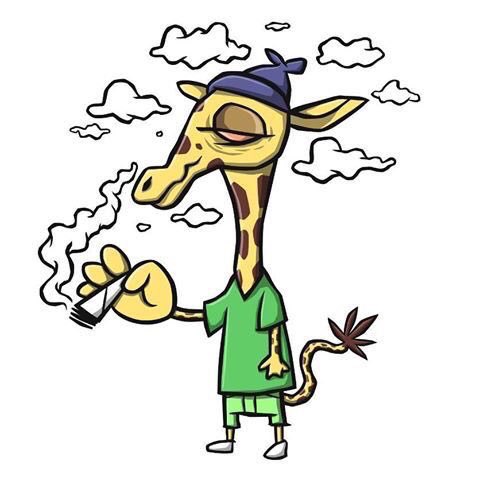 HerbStateOfMind's tweet photo. Higher than giraffe https://t.co/DClpDM5bmV