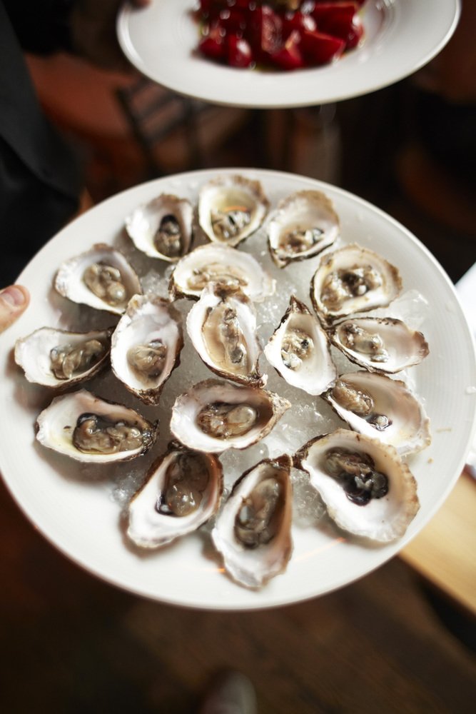 ScienceMin's tweet photo. #DNA testing technology from @uofg ensures your seafood is⦠seafood!
https://t.co/zs6nJYGVUl #CdnSci https://t.co/JGYNJsWLDj
