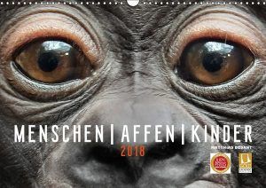 Netzwerk Fotografie tweet media