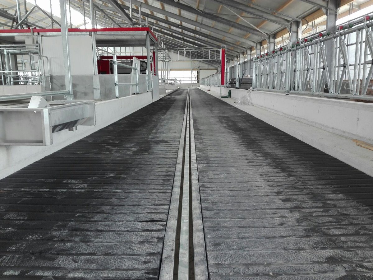 opticowzone's tweet photo. Even een update @Melkvee_Kievest in Rasquert waar de montage van de Opti-Cow Floor vlot verloopt. Mooi werk van de mannen van Comfort Koe 👍🐮 https://t.co/To6erK6PuL