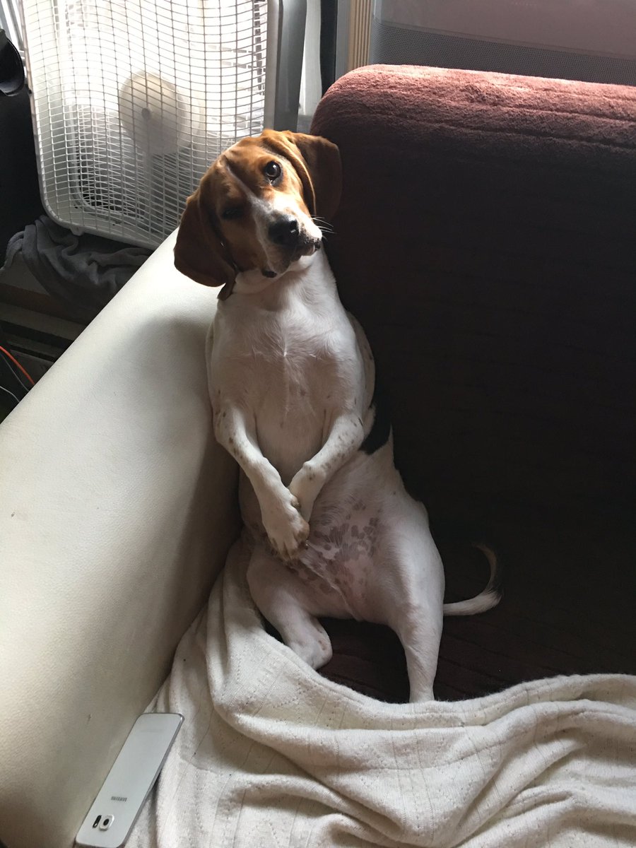 Scrappytroubles's tweet photo. https://t.co/8piZxoQzi5