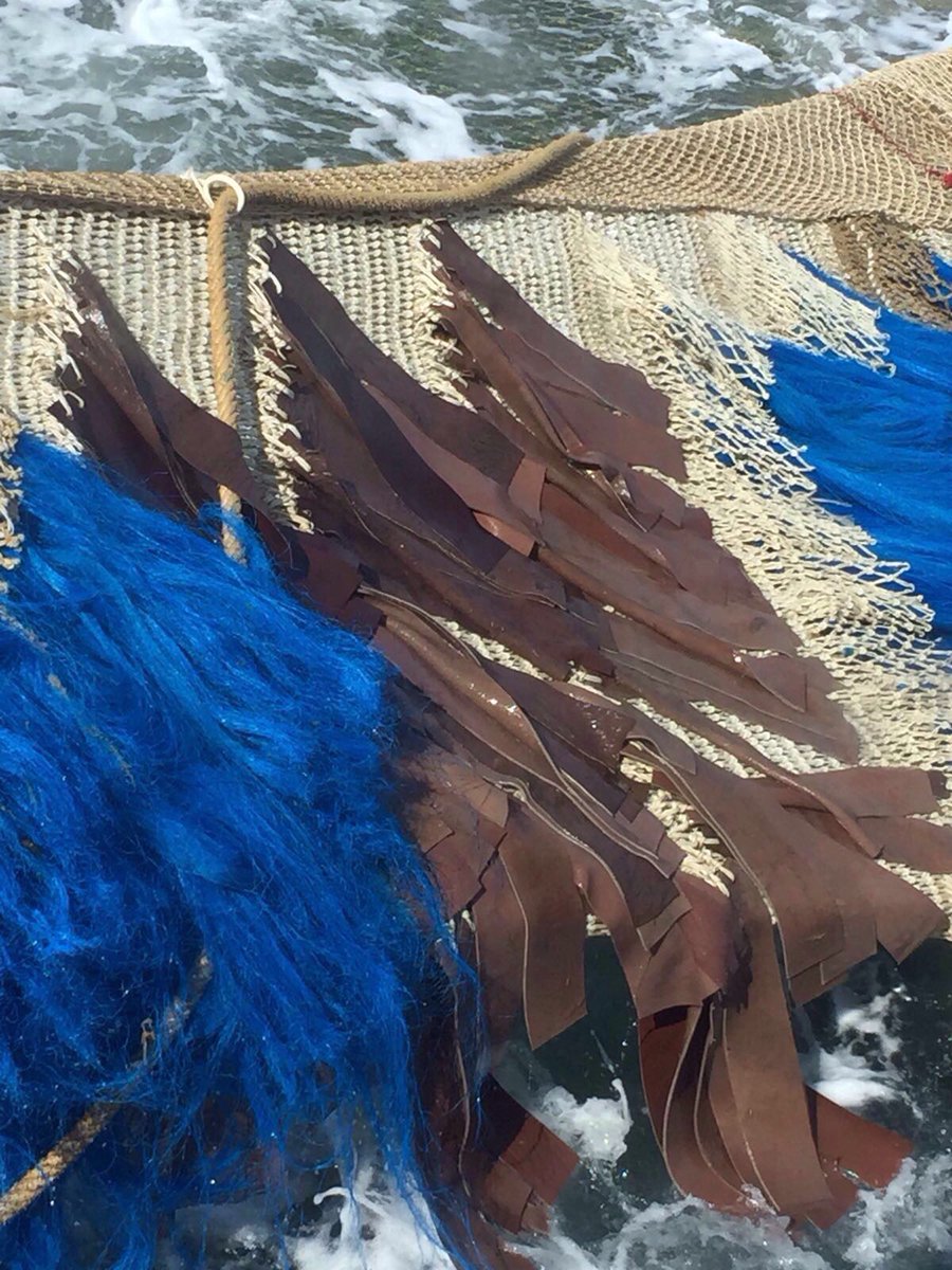 De GO48 test deze weken yakleer, één van de alternatieven voor pluis. Binnenkort testen we ook de biologisch afbreekbare plastic pluisdraden