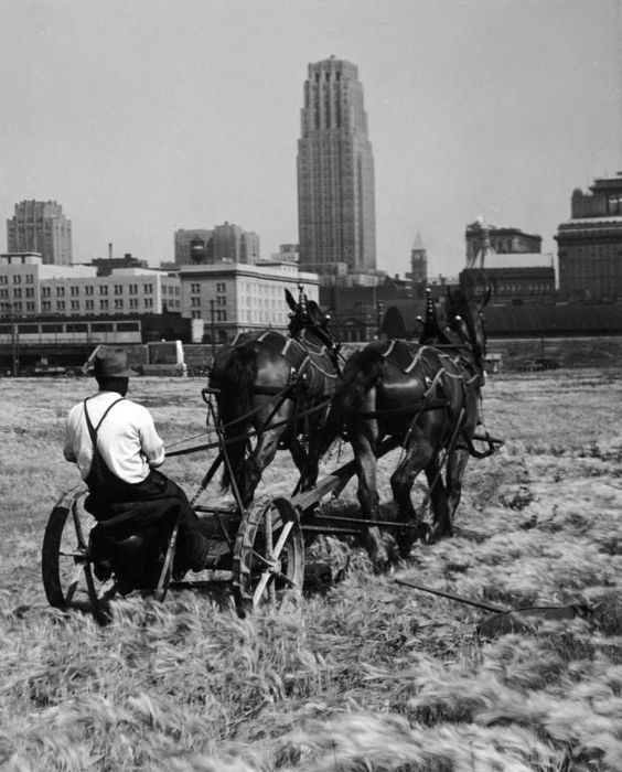 WYHOMESCO's tweet photo. #TBT undated on #QueensQuay #Toronto https://t.co/w7qZ2rRzrG