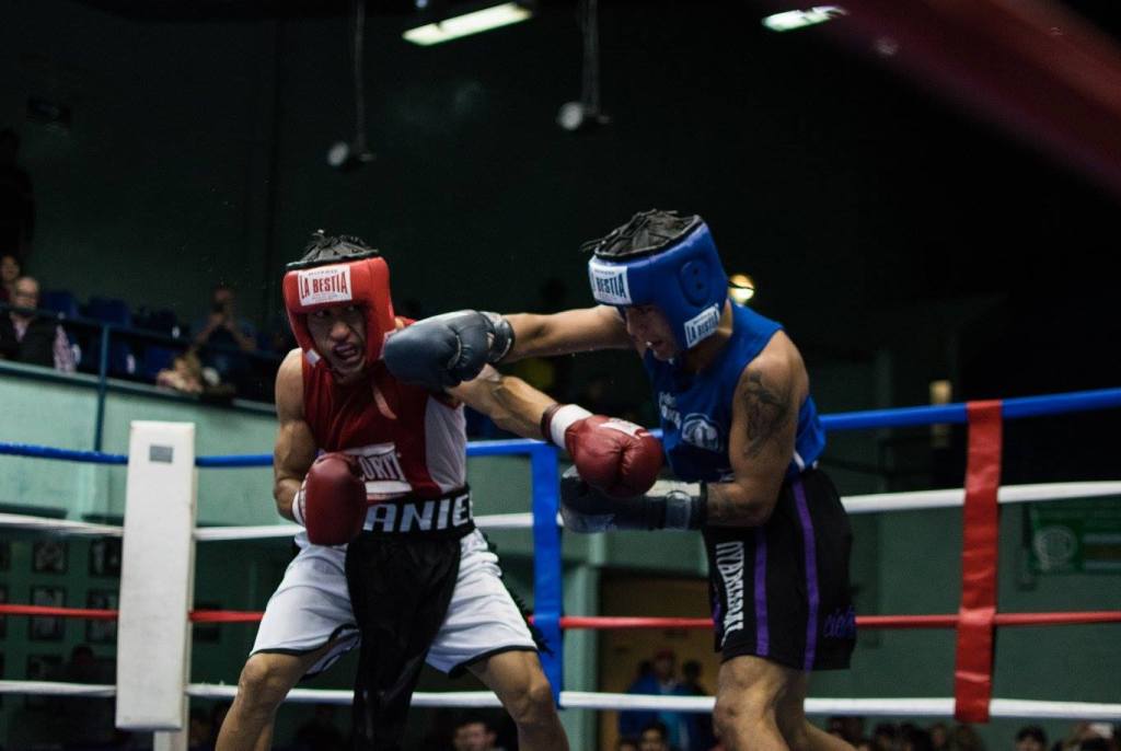 BoxeoLigaMetro's tweet photo. Daniel Combi retuvo por segunda vez en 2017 su cetro de 60kg https://t.co/29f5qg0Gdq https://t.co/rxbFbRGvHi