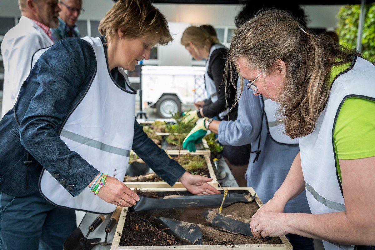 Handen uit de mouwen tijdens de lunch op het Festival of Change. Deelnemers bouwen eigen minipark. #nationaleparken
