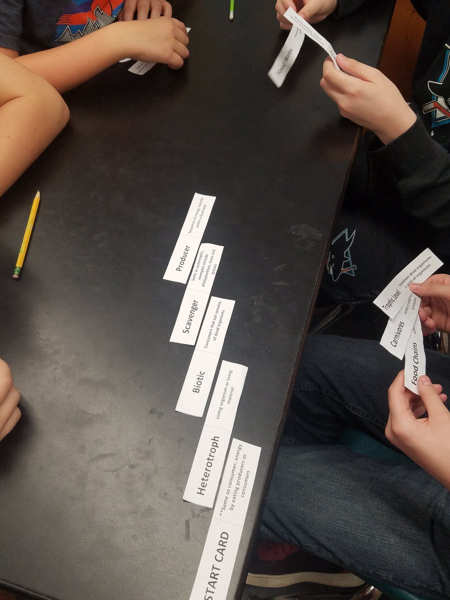 AmadioScience's tweet photo. Pond Water food webs and a vocabulary review game of 'I have, who has' #ecology #foodwebs #trjhs #handsonscience https://t.co/zLDurnMCU6