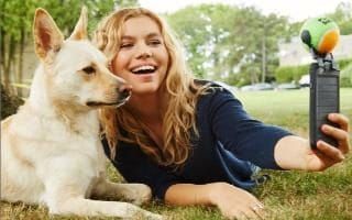 lduperier's tweet photo. #Dogs can talk to humans, study suggests via @telegraph https://t.co/6Y71PtW0VE #dogtalk #dogsintelligence #dogsofTwitter #seniordogs #pets https://t.co/TBxGGrlD7j