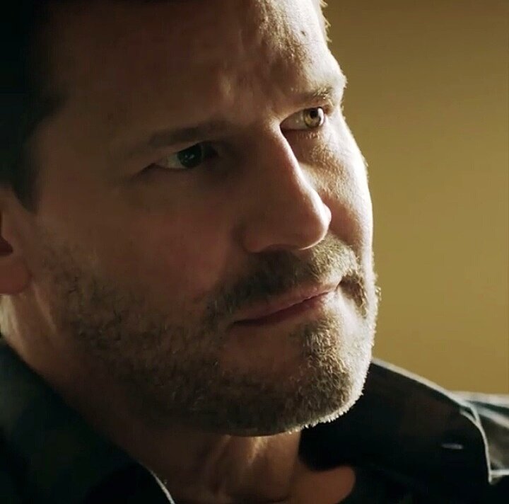 mannbarbara68's tweet photo. @David_Boreanaz Enjoy this new show ! #promo #nextfall #SealTeam #seal #missingbones #seeley #booth https://t.co/cV8YE7miro