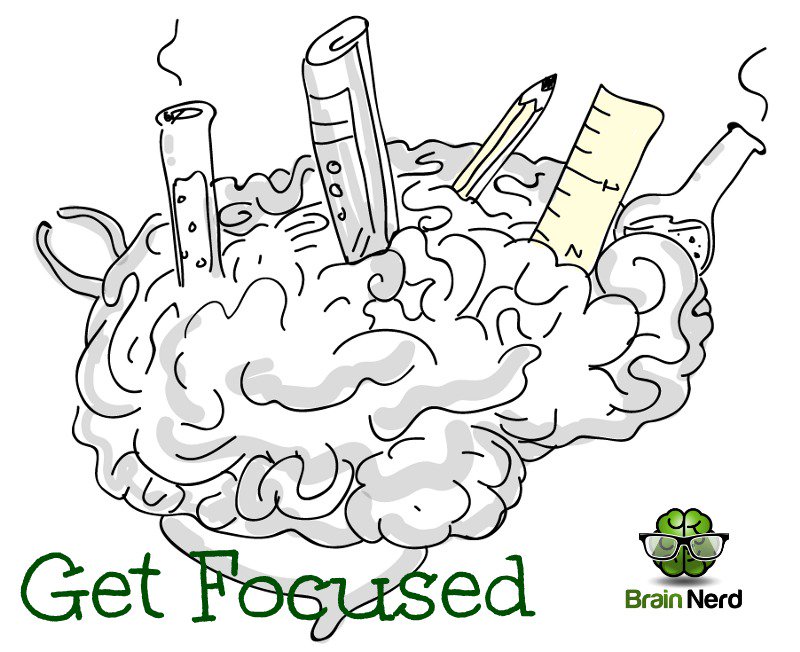 Brain Nerd (@BrainNerdSupps) / Posts / X
