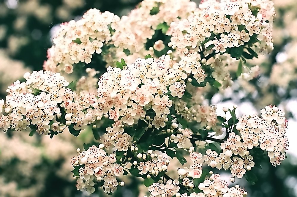 <a href="/35mmphoto/">Paola Vaughan</a>