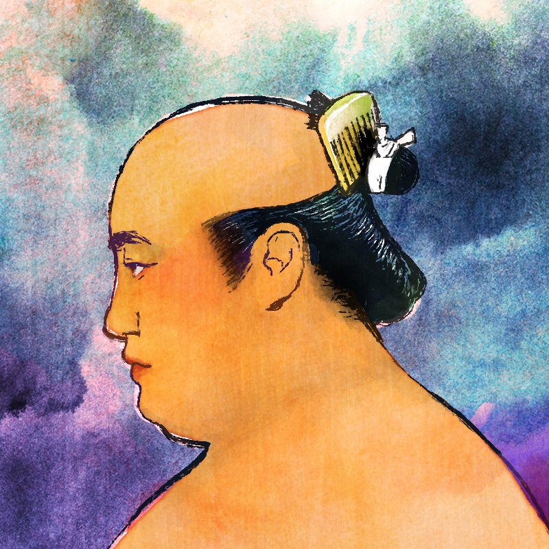 現代の大相撲力士が江戸時代の髪型をしたらこんな感じかな