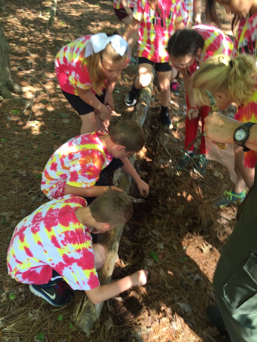 MrsHowell3BG's tweet photo. It was a nice day for a field trip to Red Top MT. #BGESTEM https://t.co/OF116ZGJWe
