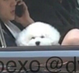 mdzlhcy_'s tweet photo. วีวี่เปงหมาที่หน้ากวนติงจริงๆแหละ โว้ยยย เห็นหน้าแล้วอยากดีด55555555 แต่ทำไม่ได้ เพราะ 1.พี่ฮุนรักมัน และ 2. ชั้นไม่มีทางได้เจอมัน55555555 https://t.co/8guSziHHUt