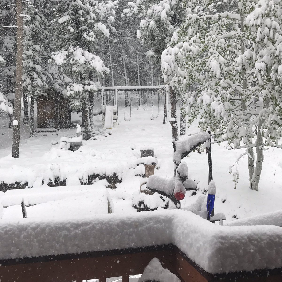 bearfootjosh's tweet photo. @DutraWeather 9" and going in Conifer! Snow baby, snow! https://t.co/blbBIvDSoz
