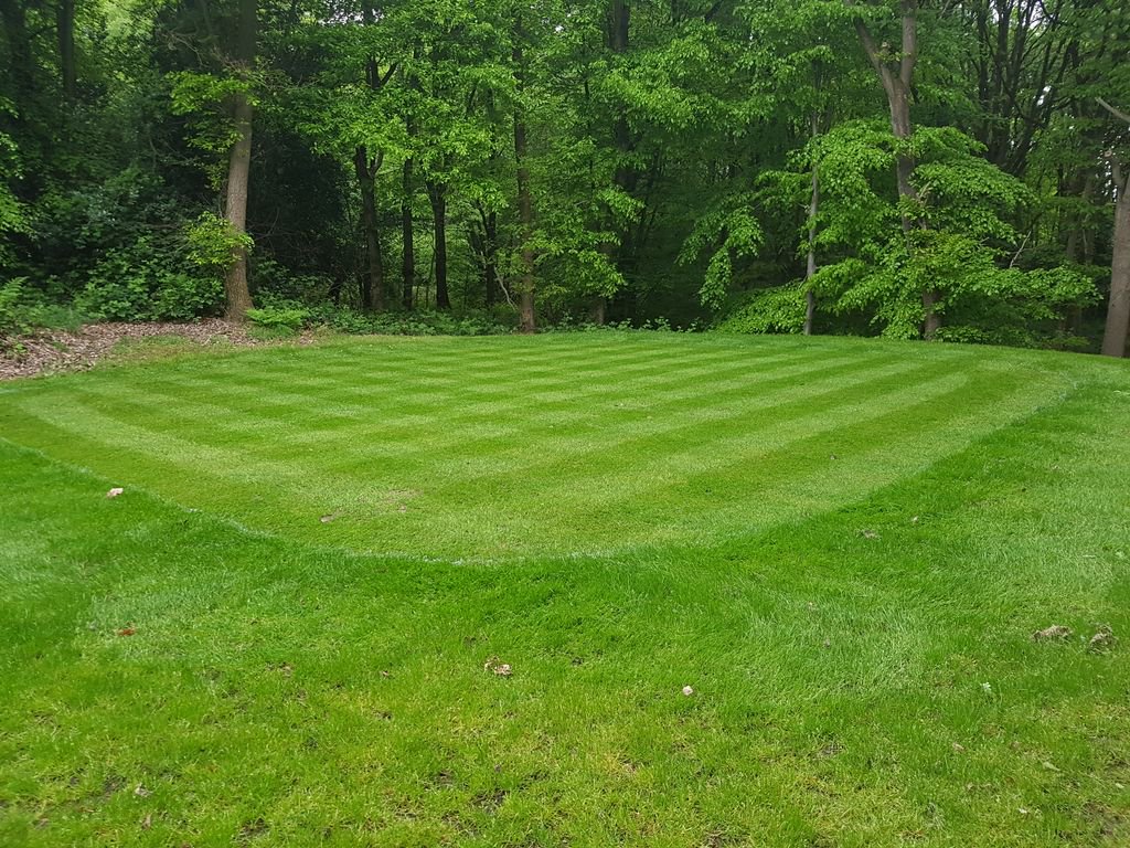 The 4th WhiteComp Tee is coming on, will be open next week