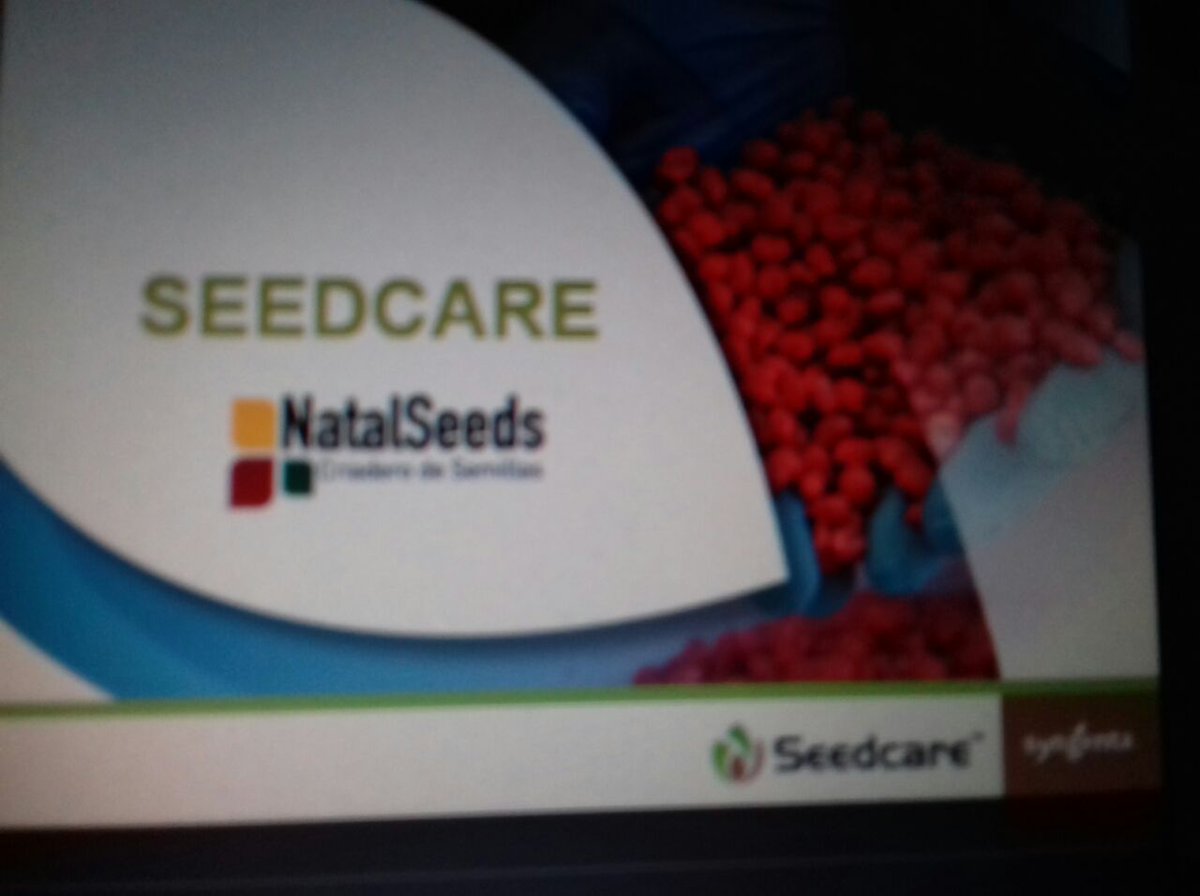 CarlosBecco's tweet photo. Capacitando equipo #NatalSeeds en nuestro #SeedcareInstitute @Syngenta_ar Juntos agregamos valor a la semilla! Gracias por visitarnos! https://t.co/cC4faKNKZM