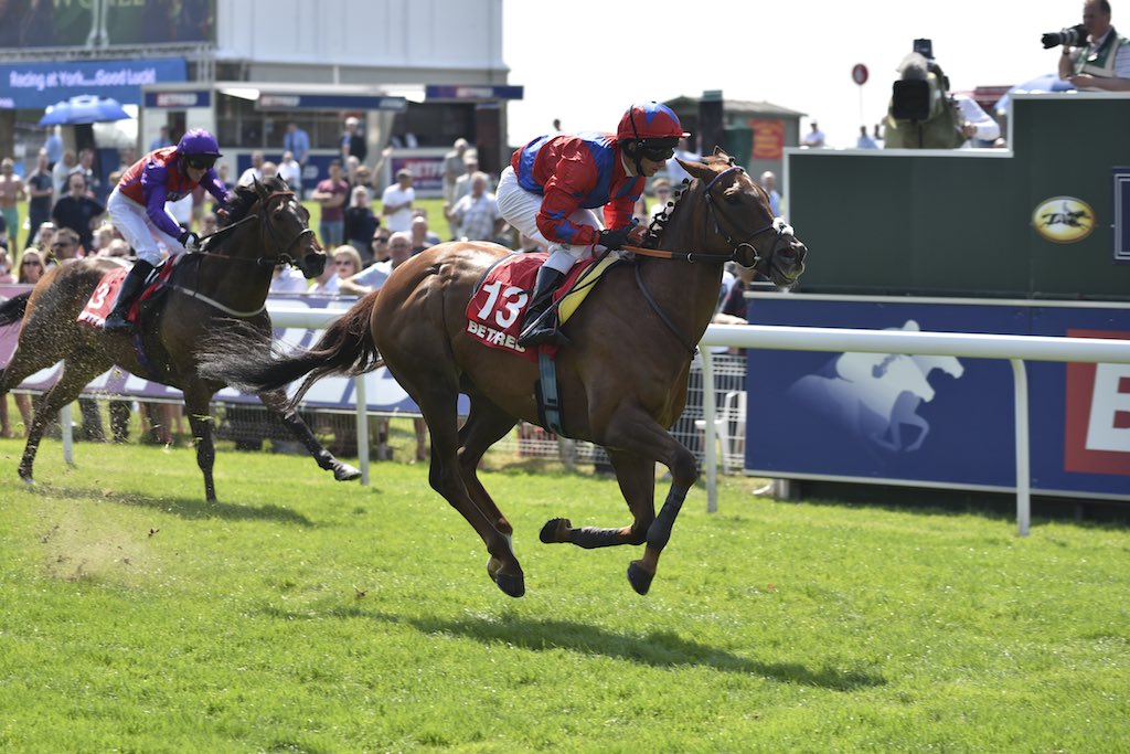 TrainersQuotes's tweet photo. THE DUKE DOES IT AGAIN!! Well done to the @DCGRacing team with #DukeOfFirenze winning @yorkracecourse today #topinfo https://t.co/YQ7ZQblaZO https://t.co/yWy5wLFcLQ