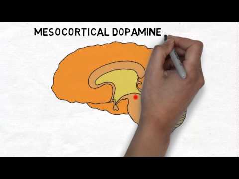 SharaRaqs's tweet photo. 2-Minute Neuroscience: Reward System https://t.co/hKVu93NDIG #neuroscience_field_of_study #reward_system https://t.co/CsONIhqh9Q