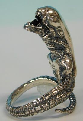 TKerouac76's tweet photo. #AlienRing https://t.co/XDe7BL9yXX