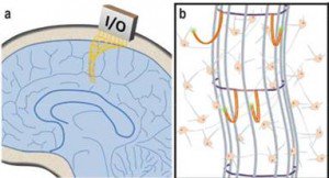 UniPixel's tweet image. Neural Lace: The Ultimate Wearable? Article by Lynnette Reese for #EmbeddedSystemsEngineering @EECatalog. ow.ly/Rqs030bHK9D