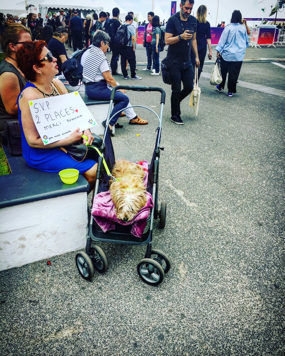 alicecsdv's tweet photo. Ils ont inventé la poussette pour chiens #cannes2017 https://t.co/BdMAr5UFbg