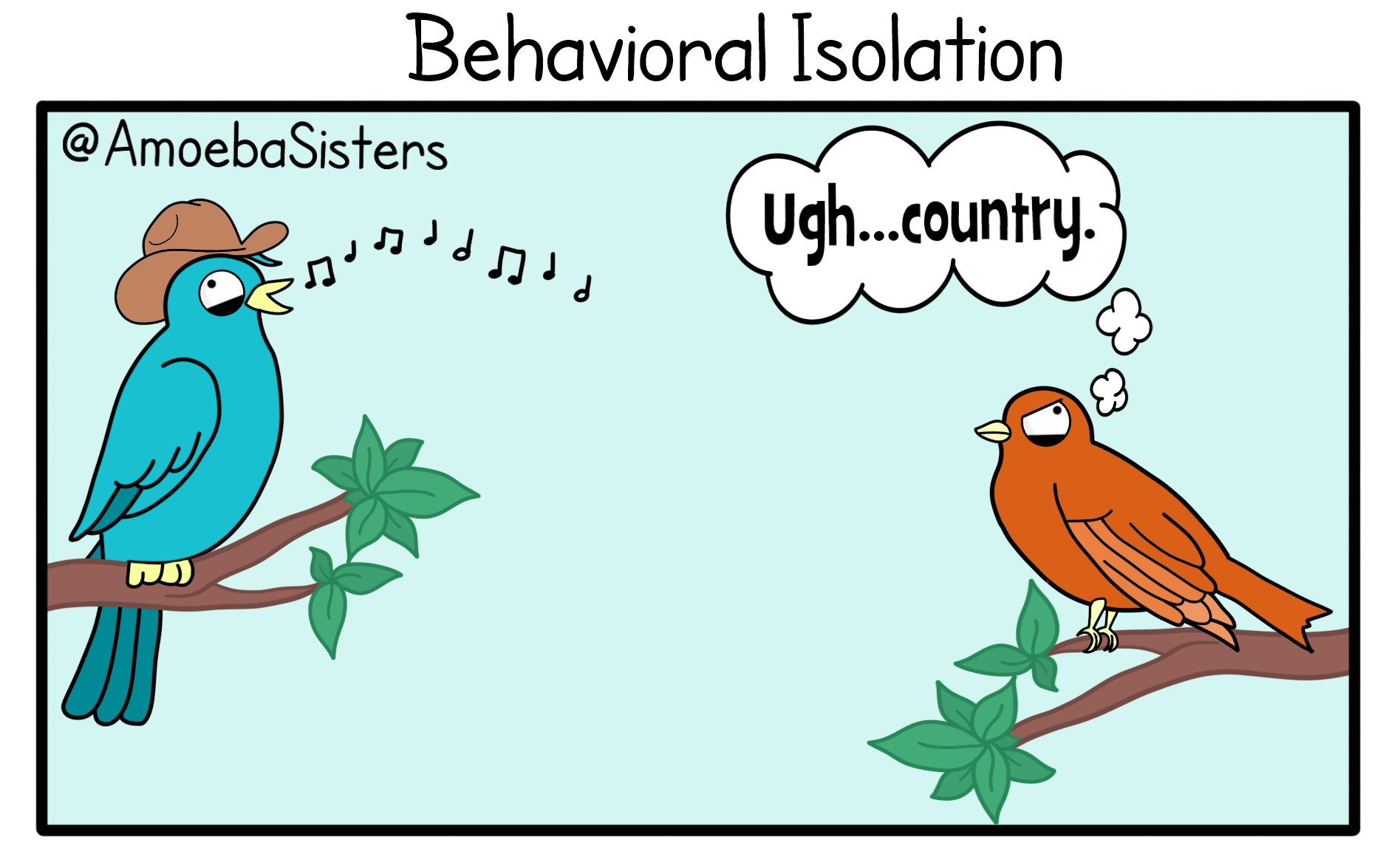 Amoeba Sisters on X: &ldquo;Behavioral Isolation. Maybe not exactly like 