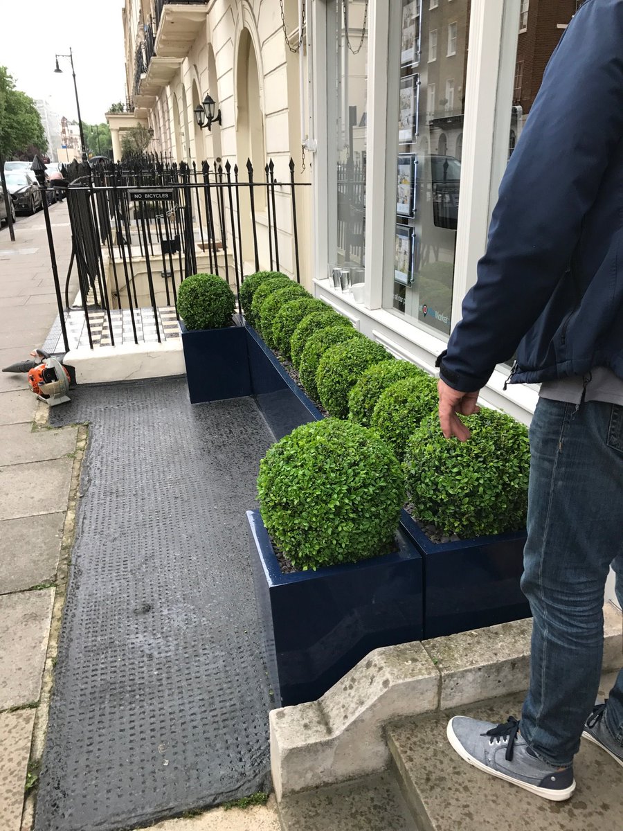 Property_AW's tweet photo. We've trimmed our balls today! Sadly caterpillars have been found but we are on it! A bit of #BugClear should keep them looking healthy https://t.co/vXrGfTfdnC