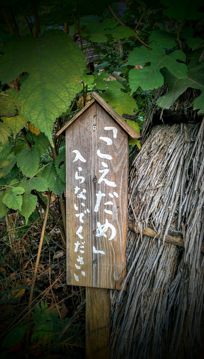 黒川 巌 世田谷区内に現存する肥溜め 黒川 巌 世田谷区内に現存する肥溜め