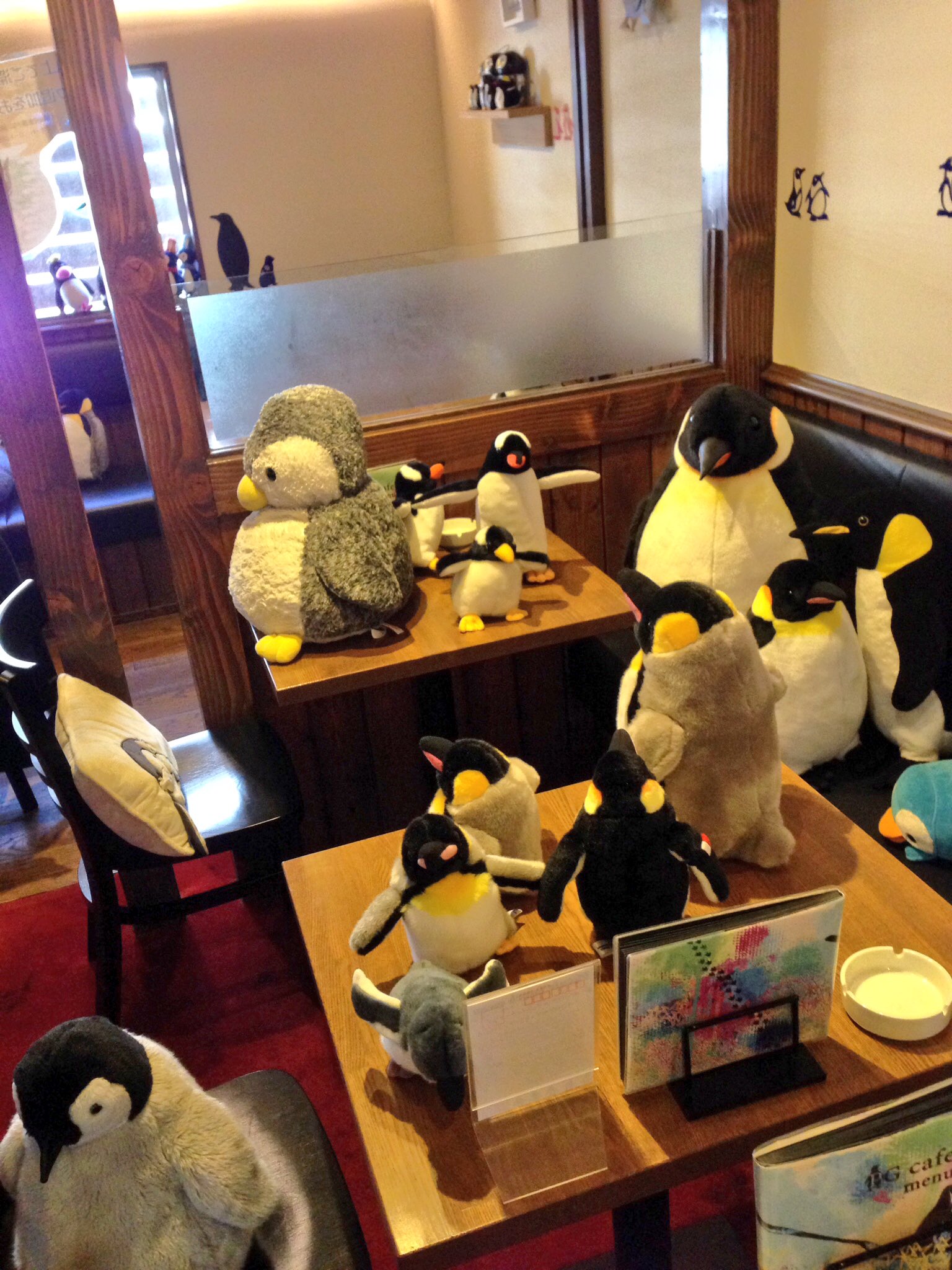 ペンギンカフェ名古屋 大須 PGカフェ on Twitter "「店内の写真撮っても」 「うちにあるペンギン寄付したい」 「Twitterや