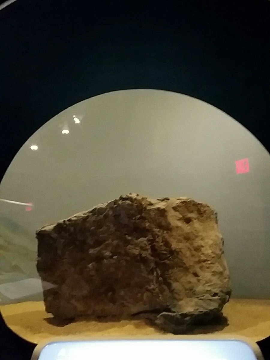 I learned that this is what a coral reef fossil looks like