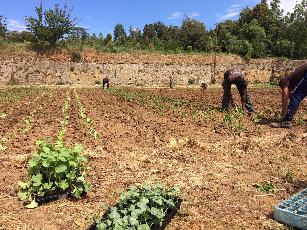 IdariaCoop's tweet photo. Joves i grans a la colla agrícola d'Idaria preparen l'horta d'estiu a la Vall del Llémena #inserció social #natura #cultura https://t.co/LDk63GWJyz