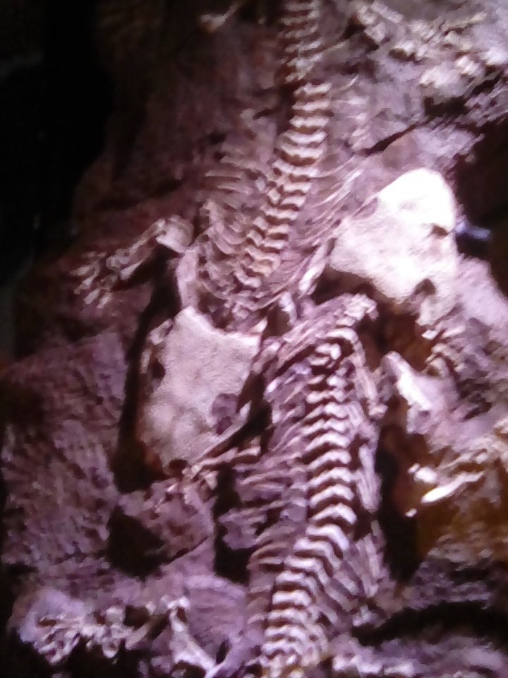 Bermudian Seminar (@bermseminar) on Twitter photo 