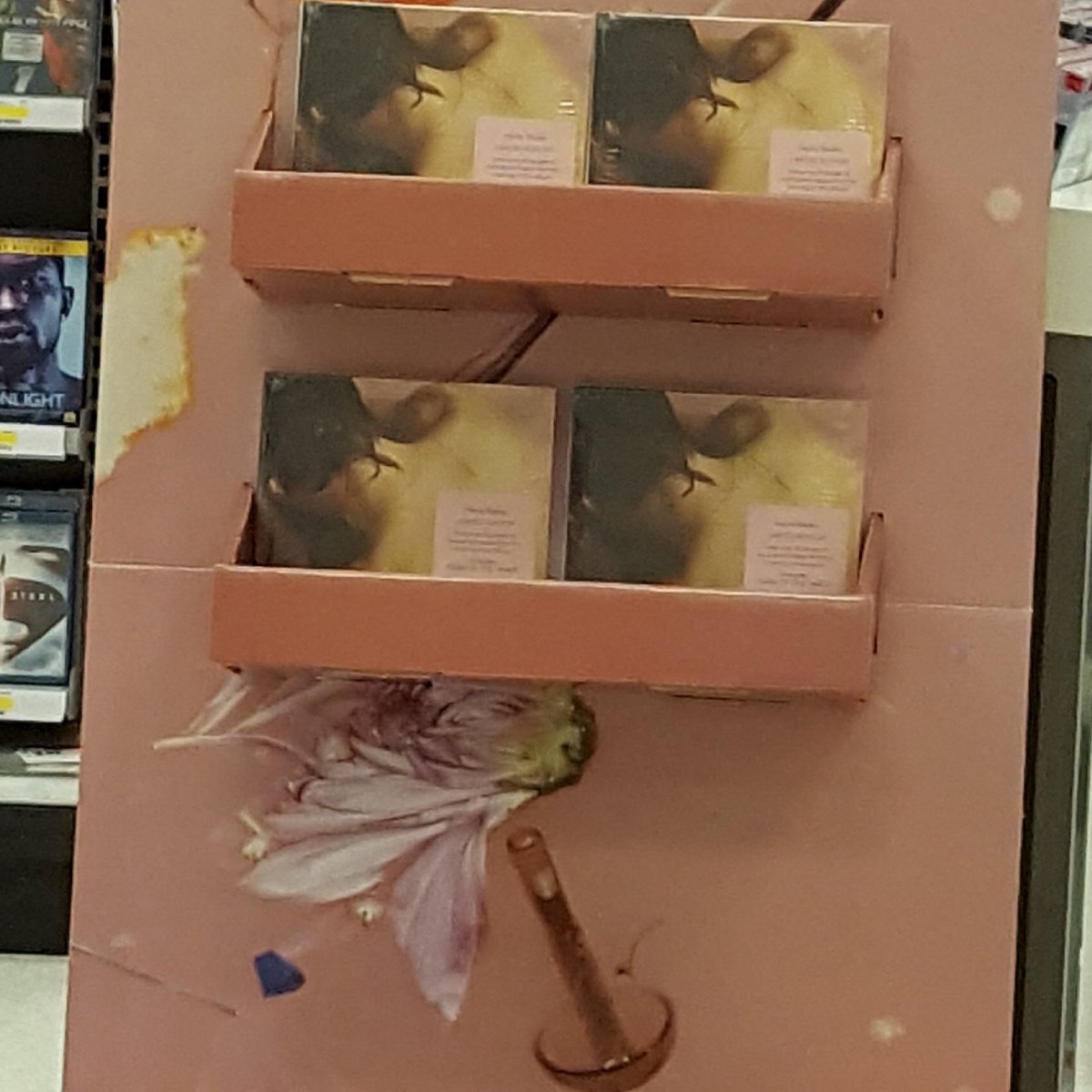 tinyeagle71's tweet image. Thanks for being a major part of my day!