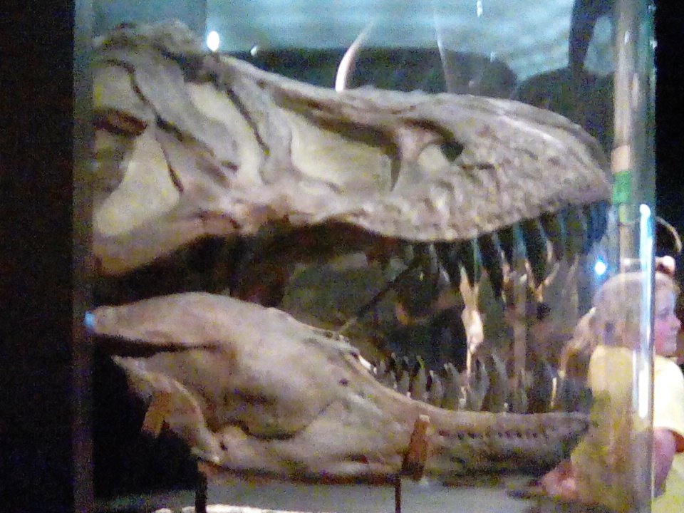 I wonder what the total length of the jaw is?