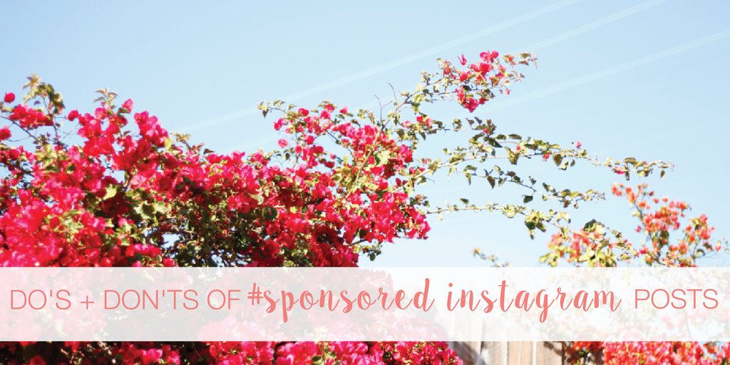 social_studio's tweet photo. Before you share that sponsored post, read our list of do's + don'ts for sharing sponsored content on social! https://t.co/yqREEsENmO https://t.co/6UVvU7UKeM