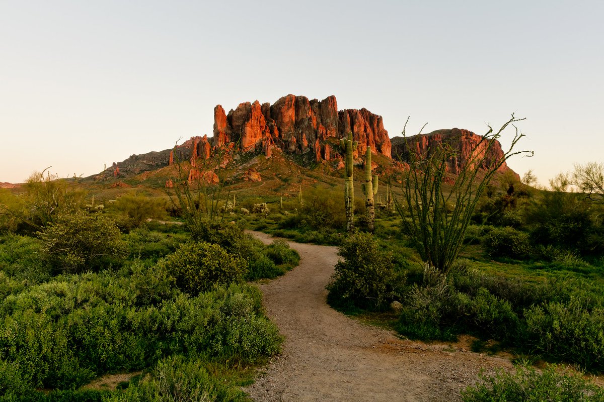 AZStateParks's tweet photo. Friday eve = perfect day to make weekend plans.  Where will you explore? 🏞#FindYourPark #discoverAZ #AZadventure https://t.co/P6c9Ytus6u
