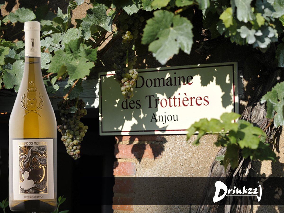 'Parel uit de Loire': Domaine des Trottières maakt wijnen van hoge kwaliteit en met de Tetra Vitris normen. Lees ook drinkzz.nl/wijnland/frans…