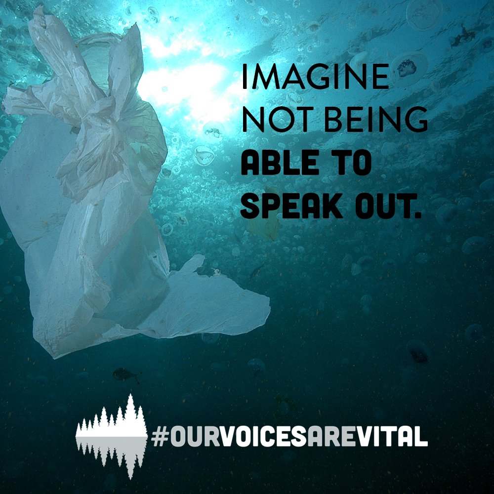 greenpeaceusa's tweet image. We shouldn’t let corporate lawsuits silence anyone speaking out the environment! bit.ly/2pQIJdC #OurVoicesAreVital
