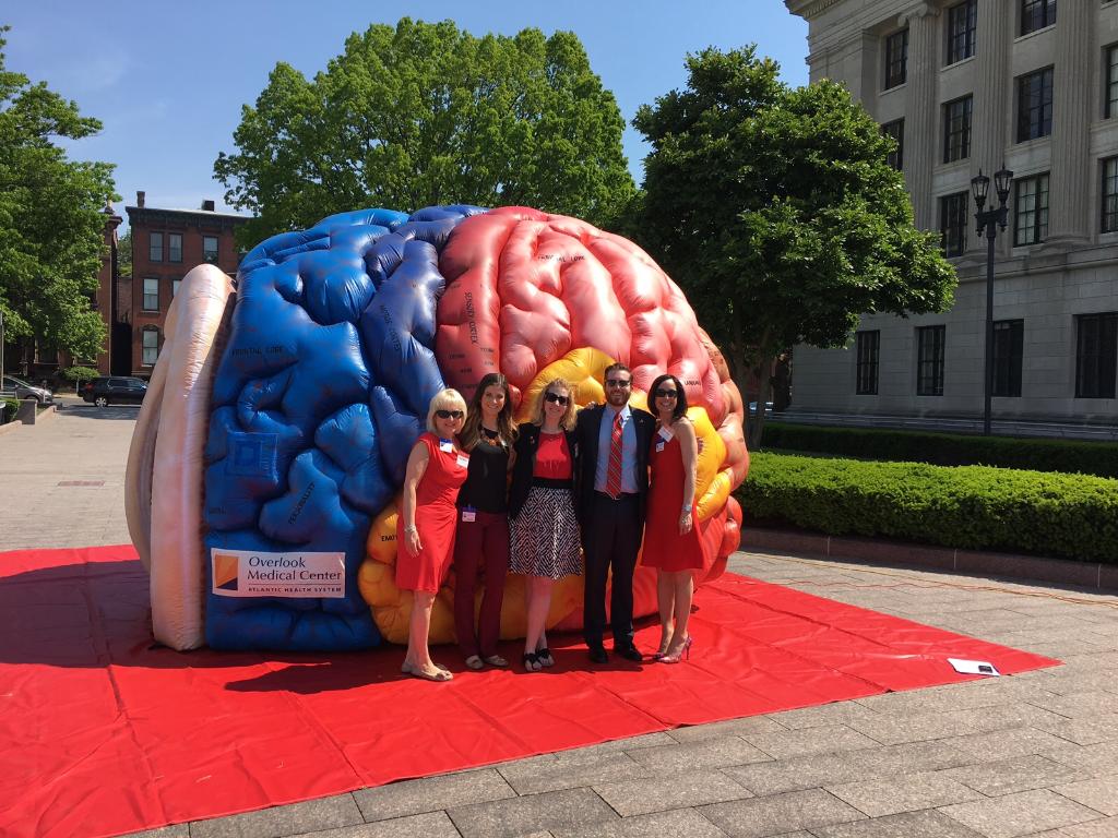 AHANewJersey's tweet photo. This larger than life brain from Overlook Medical Center is an interactive way to learn about stroke. @Atlantichealth #strokewontwaitnj https://t.co/SEYGyTG8eg