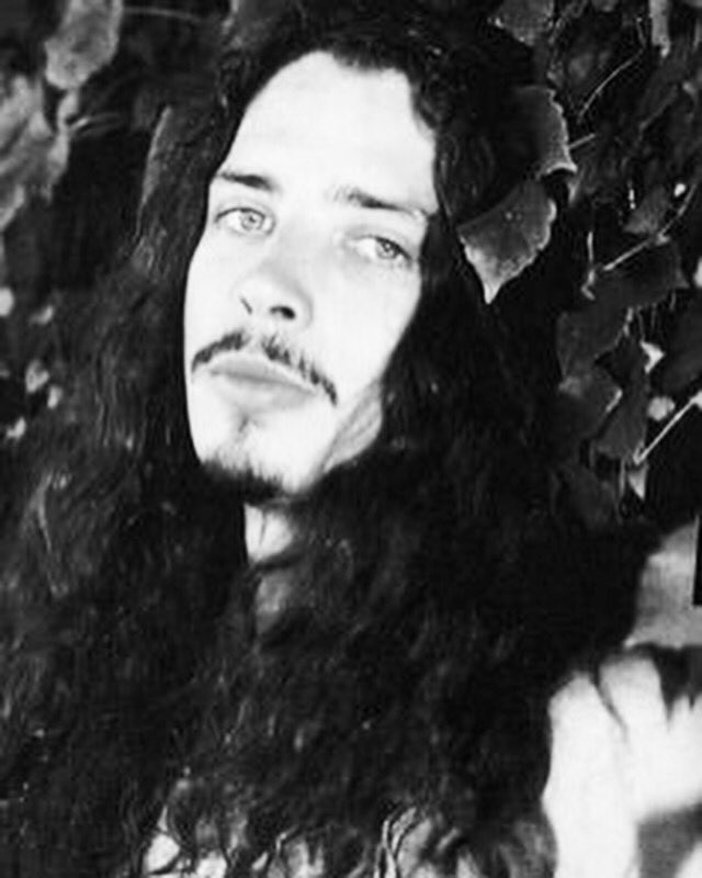 The Banshee #chriscornell