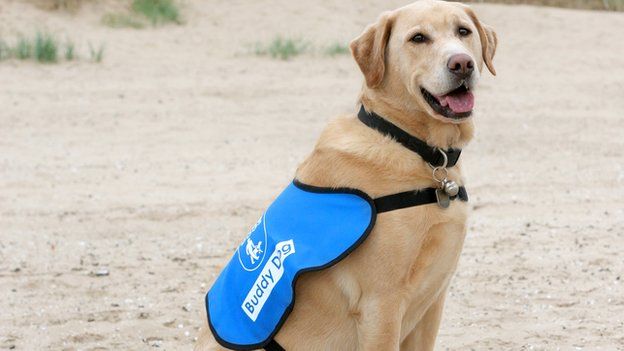 PETZPODZ's tweet photo. There are many different ways you can help support UK Guide Dogs
https://t.co/vVL2oLk25c https://t.co/2qc8YQu8RX